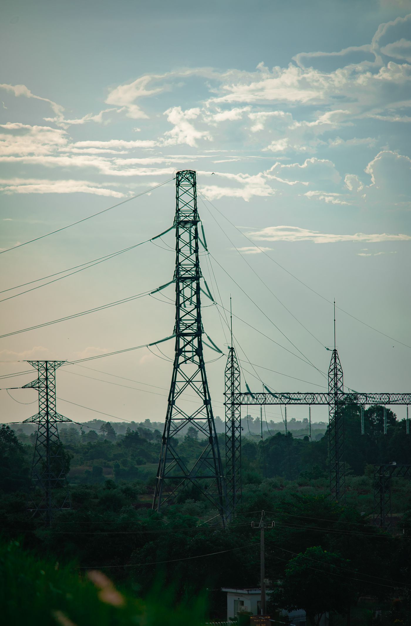 Transmission towers crossing forest